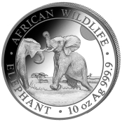 Somalia Elefant 5 oz Silber 2024 - Motivseite