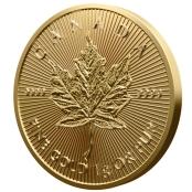 Maple Leaf 1 Gramm Gold - Motivseite mit Ahornblatt