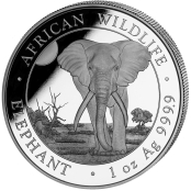 Somalia Elefant 1 oz Silber 20225- Motivseite